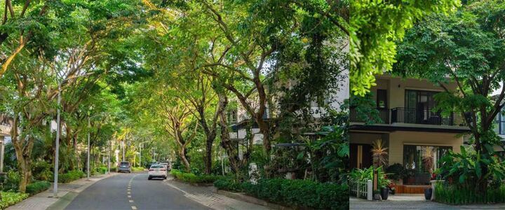 Eco Retreat - Ecopark