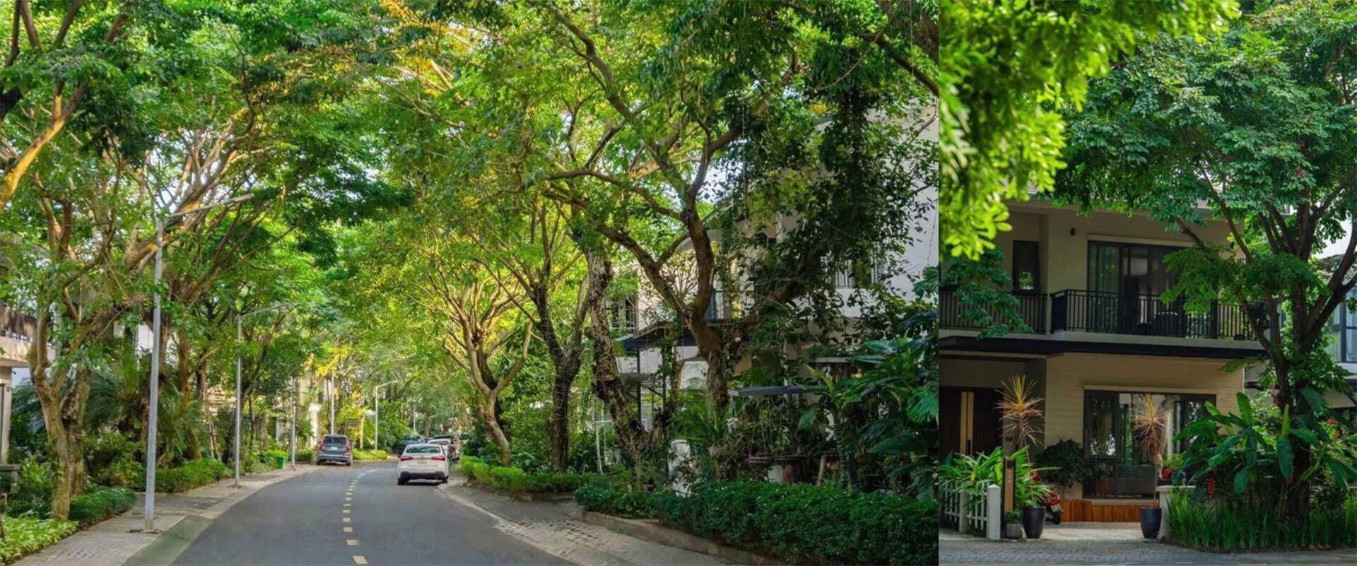 Eco Retreat - Ecopark