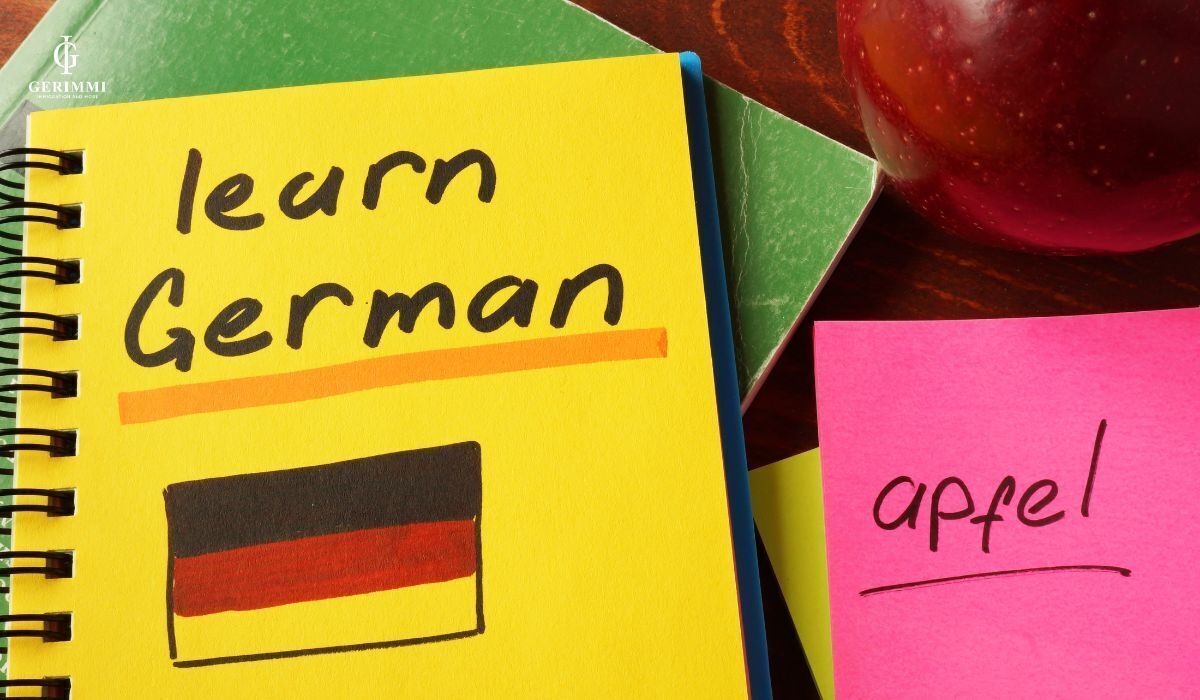 tong-quan-he-thong-giao-duc-dai-hoc-duc