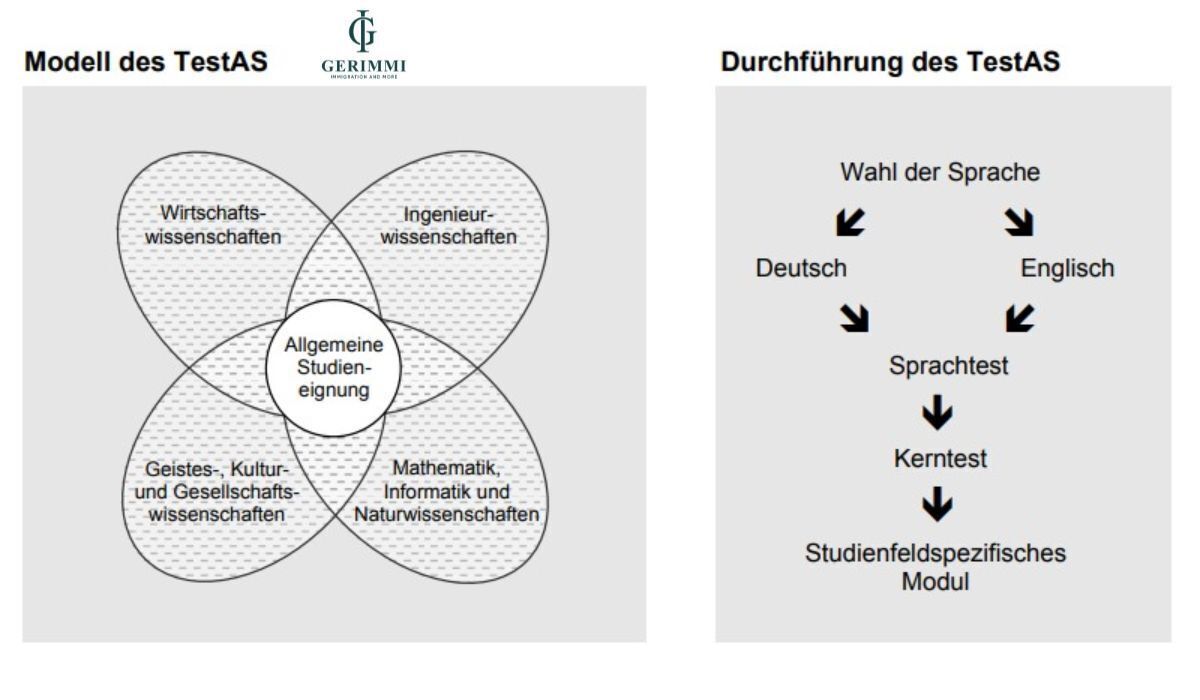noi-dung-module-chuyen-nganh-chi-tiet-cac-phan-thi-testas