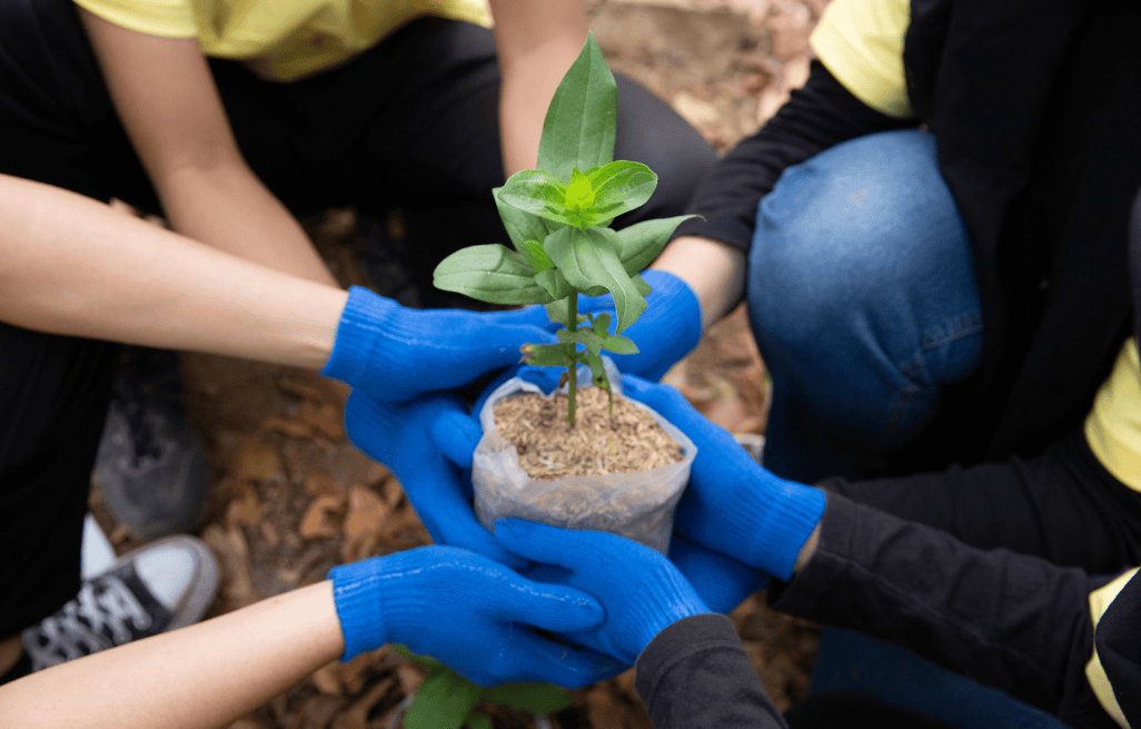 Gladia by the Waters