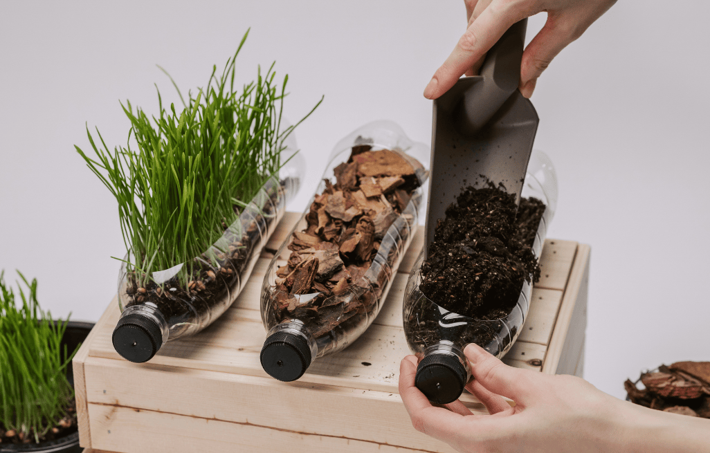 Gladia by the Waters