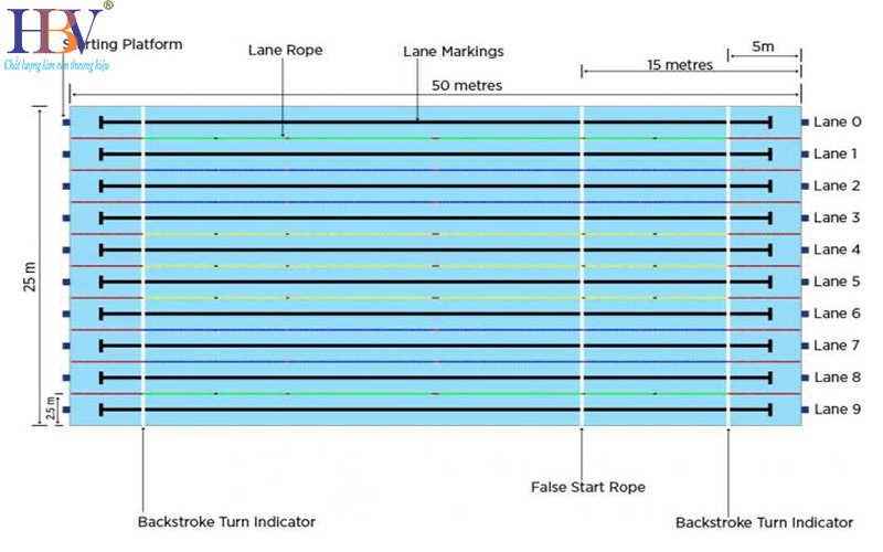 ho-boi-thi-dau-chuan-olympic-nhu-the-nao-2