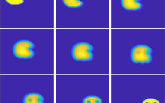 Aggregation–Diffusion Equations for Collective Behaviour in the Sciences