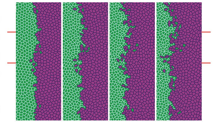 collective-celluar-header