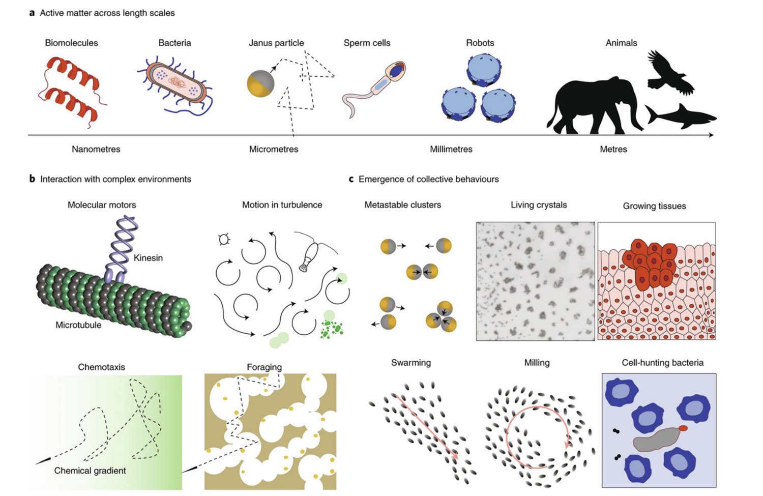 screenshot-2026-01-18-at-11-57-31