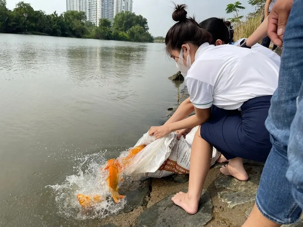 272667916-2216134115204850-7576973963917502298-n