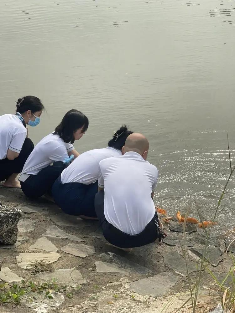 434ebf13189ad7c48e8b