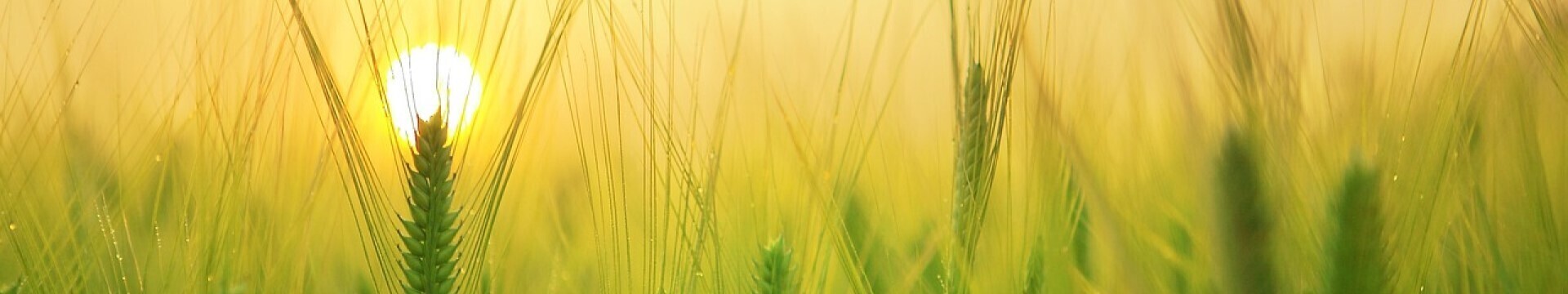 Agricultural Products