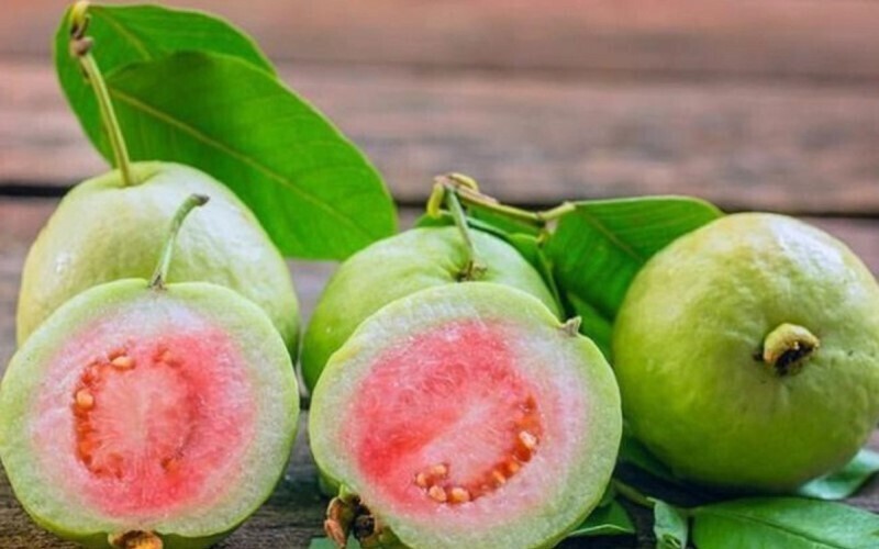 Guava