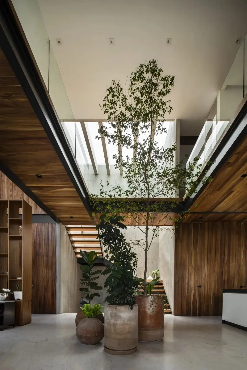 tham khảo 5 thiết kế giếng trời đẹp giúp đón nắng vào nhà