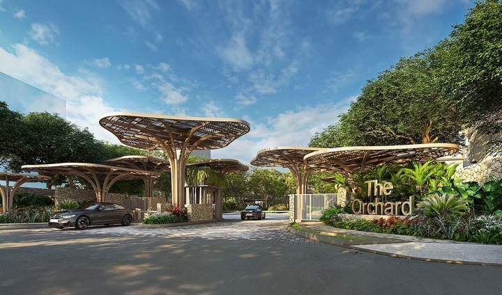 Sycamore Bình Dương