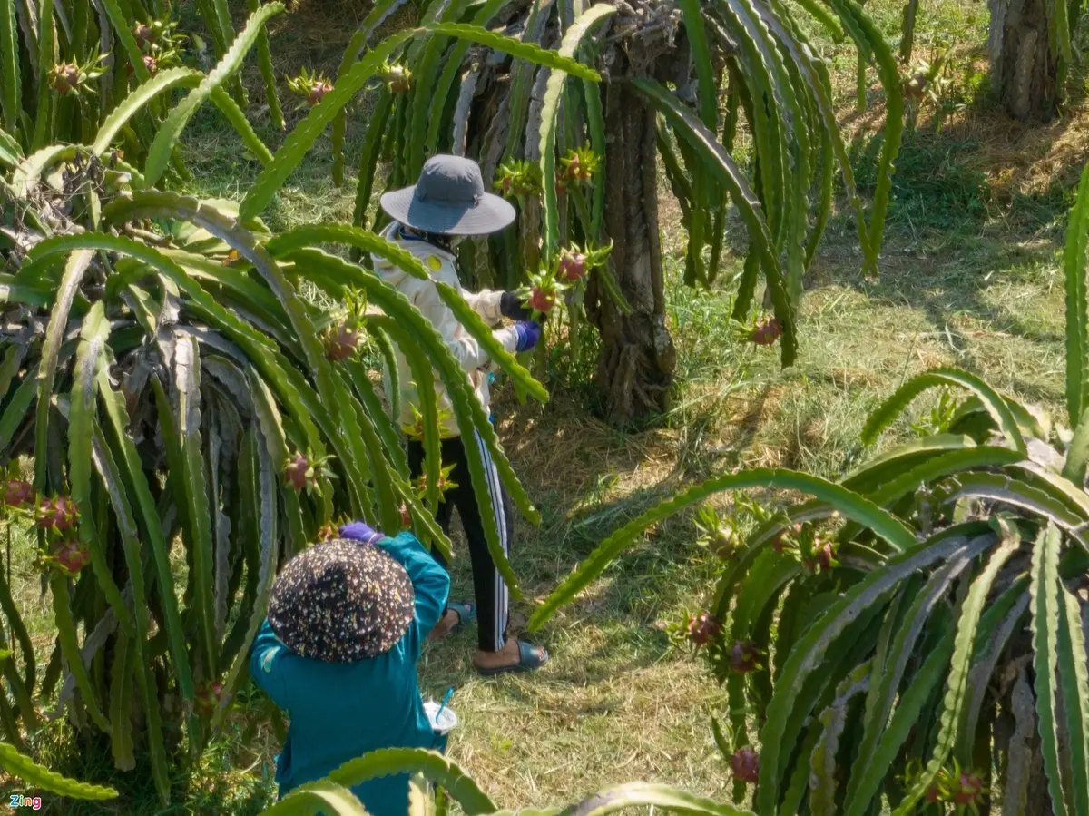 cấp tập hoàn thiện cao tốc phan thiết - dầu giây trước giờ thông xe