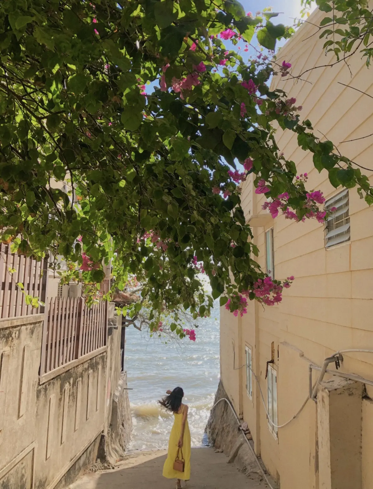 cẩm nang du lịch tp. vũng tàu