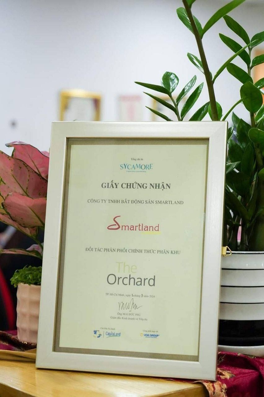 Sycamore Bình Dương