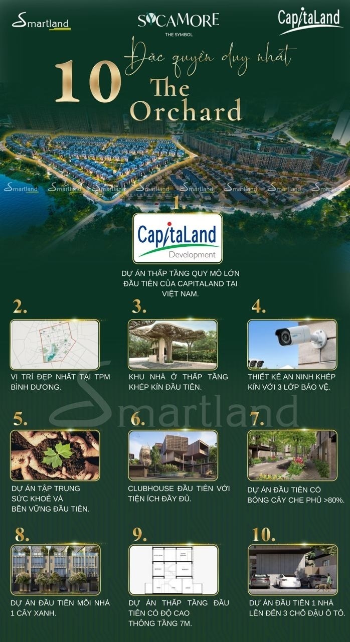 Sycamore Bình Dương