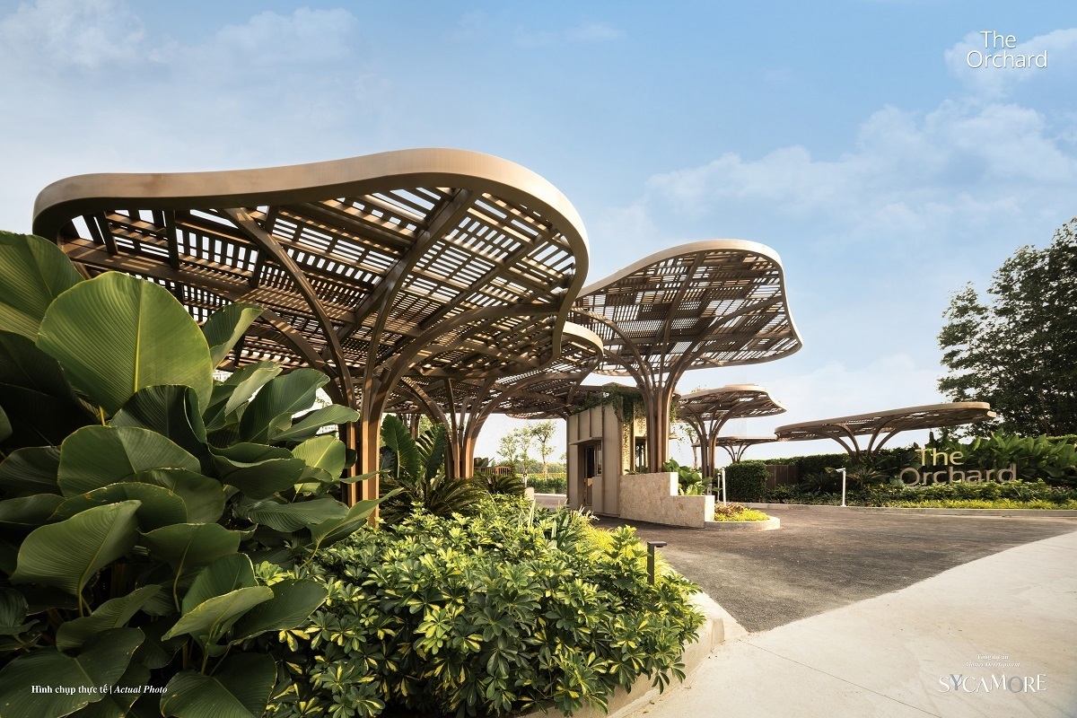 Sycamore Bình Dương