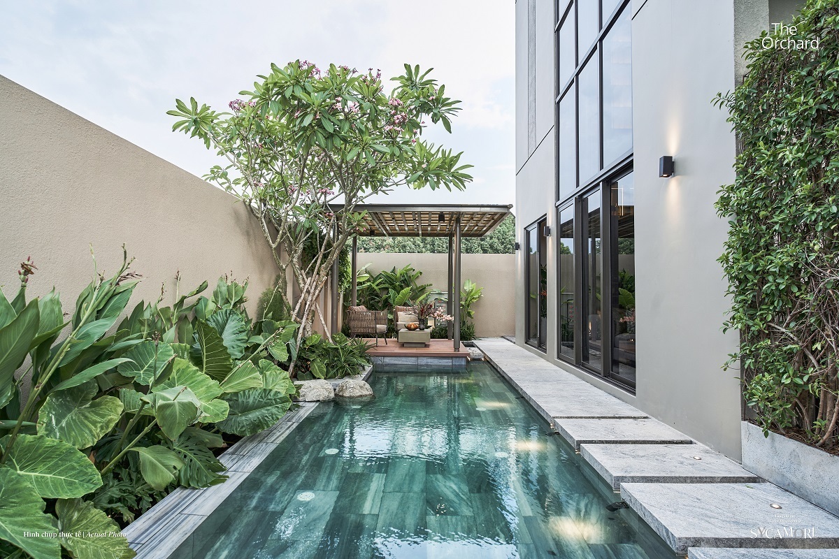 Sycamore Bình Dương