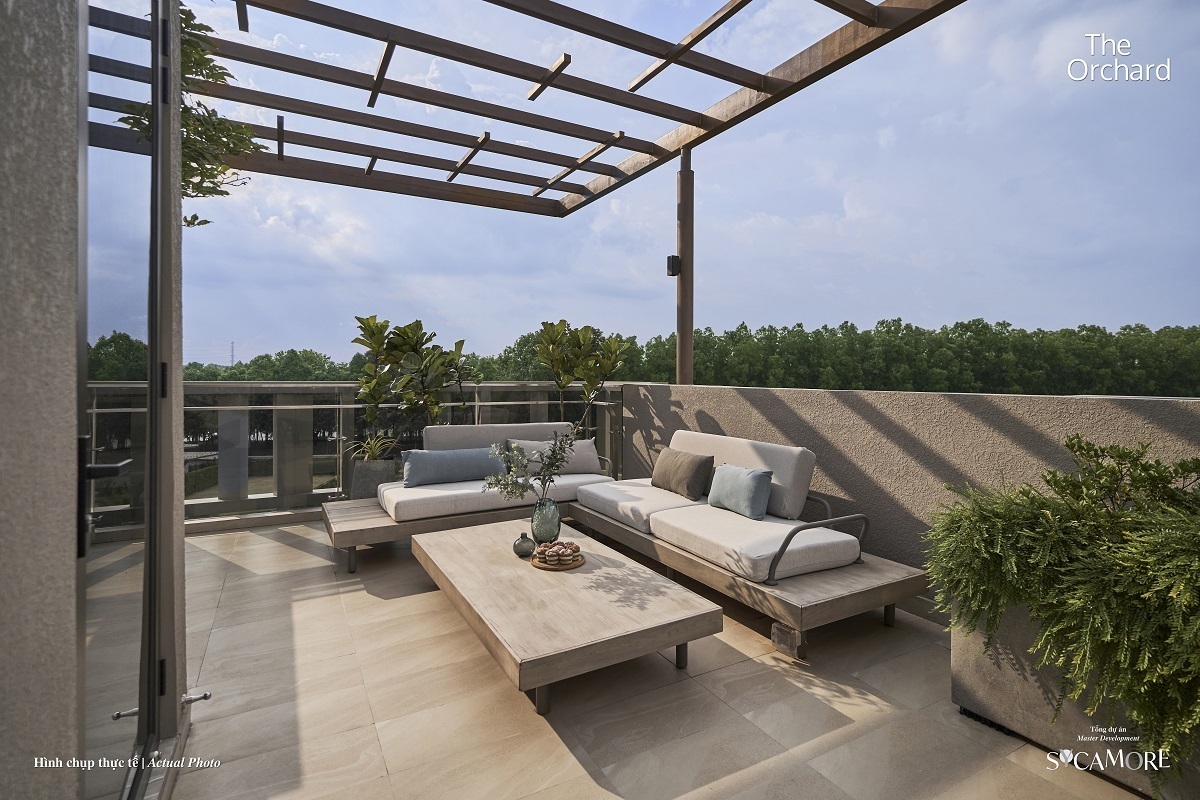 Sycamore Bình Dương