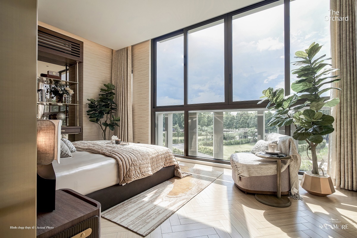 Sycamore Bình Dương