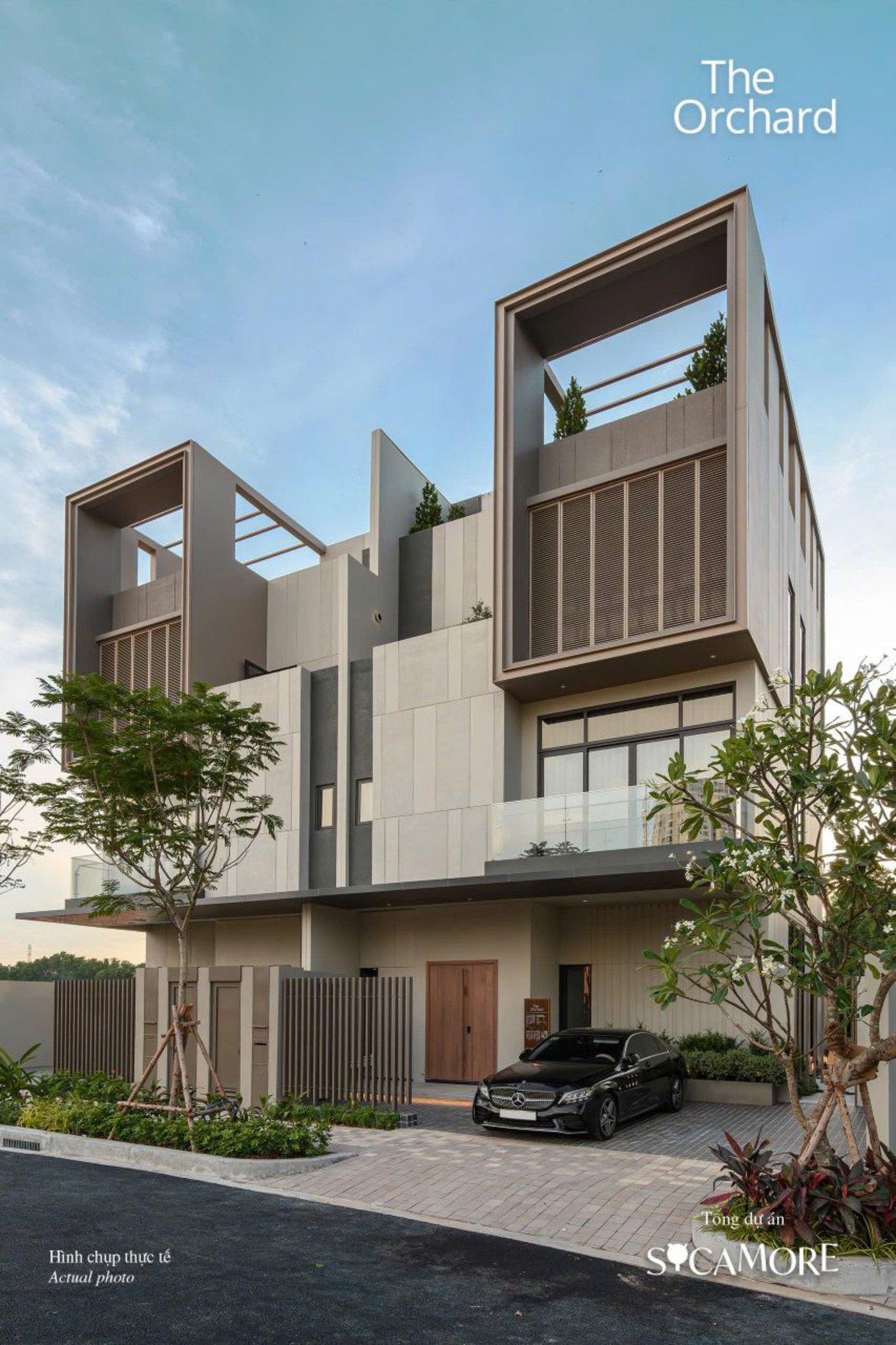 Sycamore Bình Dương