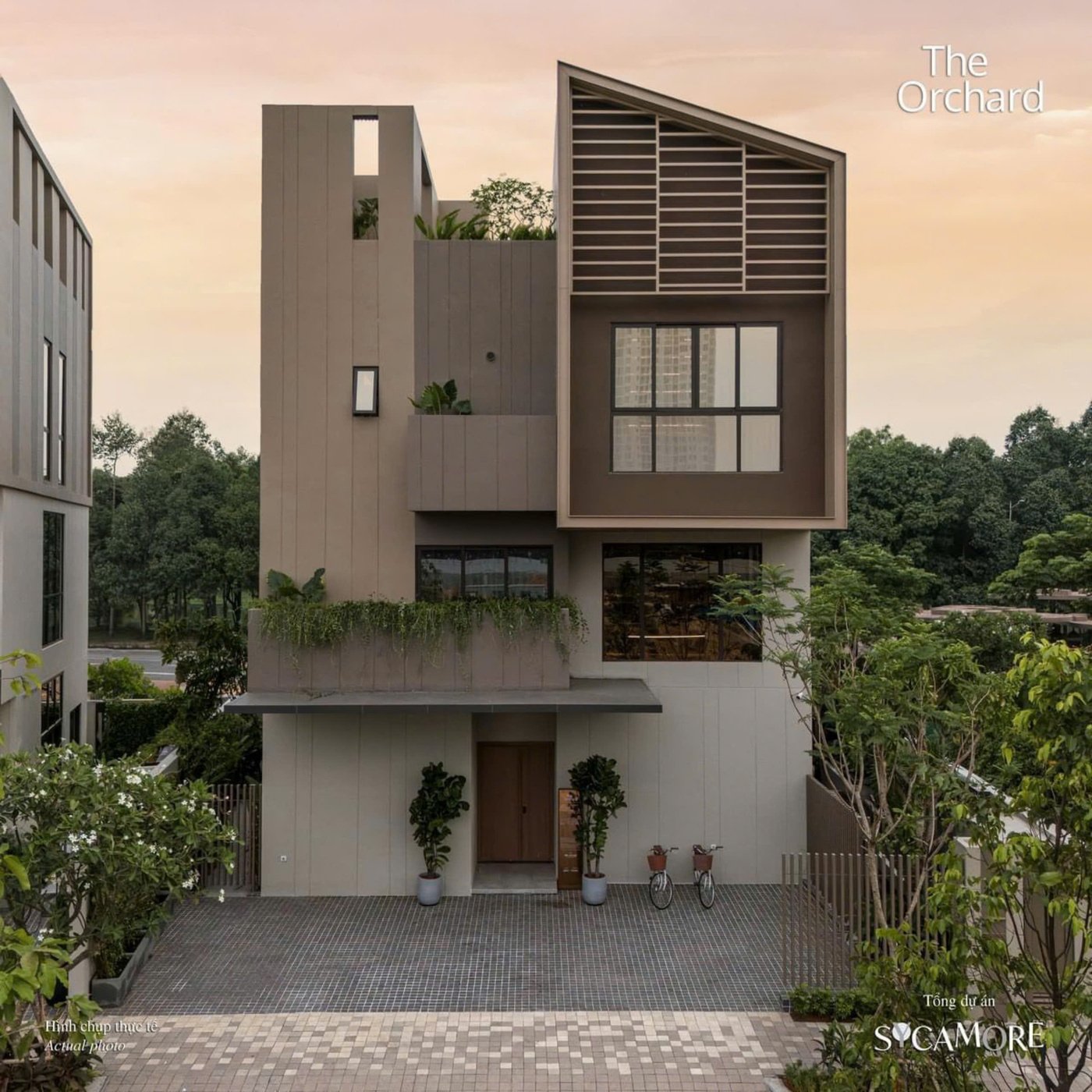 Sycamore Bình Dương