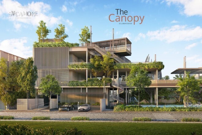 Sycamore Bình Dương