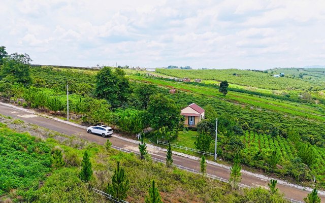 Tin Cực Sốc: Đất Bảo Lộc Bán 1 Lô Đất – Tặng 1 Lô Đất Vườn Sầu Riêng