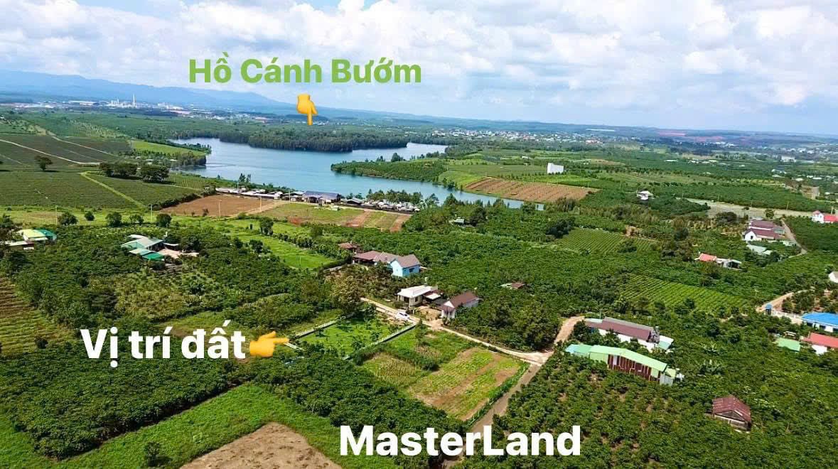 z6078018946016-fe612fd10c8ce82bbe3b385474e67196