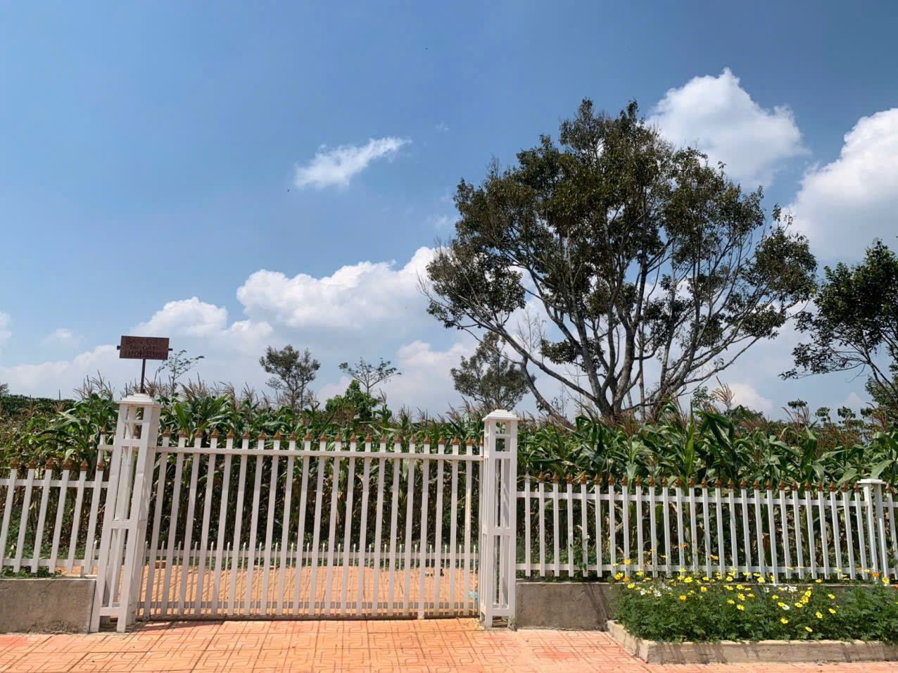 z6078018987135-e904cb4c7c595e4b4a60cf0e4cc77591