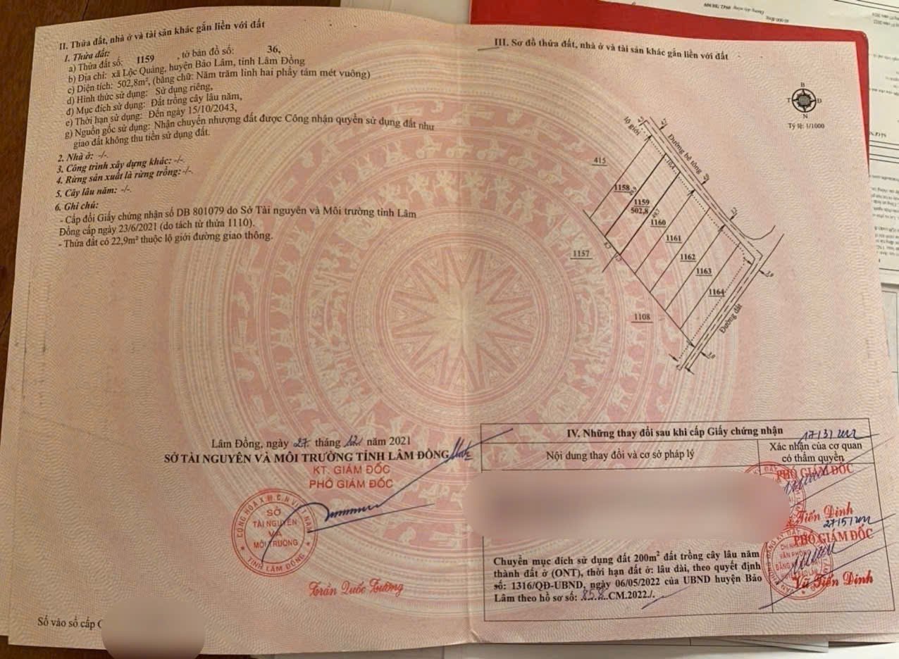 z6078018991743-b129bf293760bc981ec77aadb752e6a5