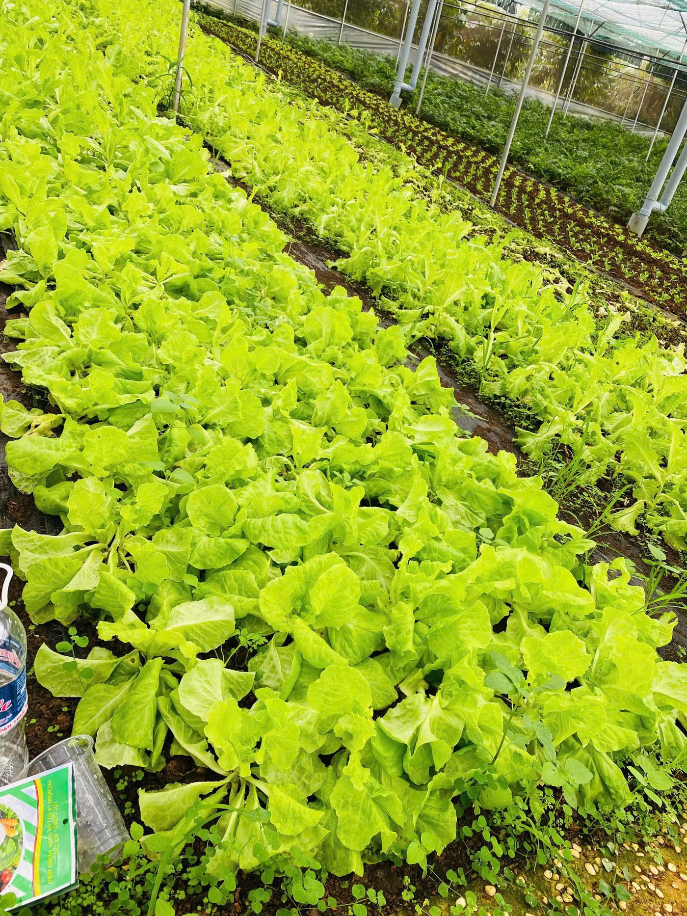 z6113059000654-3803acecedd0b361774bef31c6bed96f