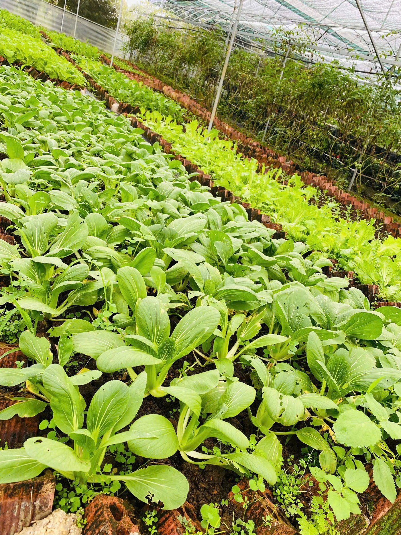 z6113059019660-f5498848f33347fdc8f37cbbb583b773