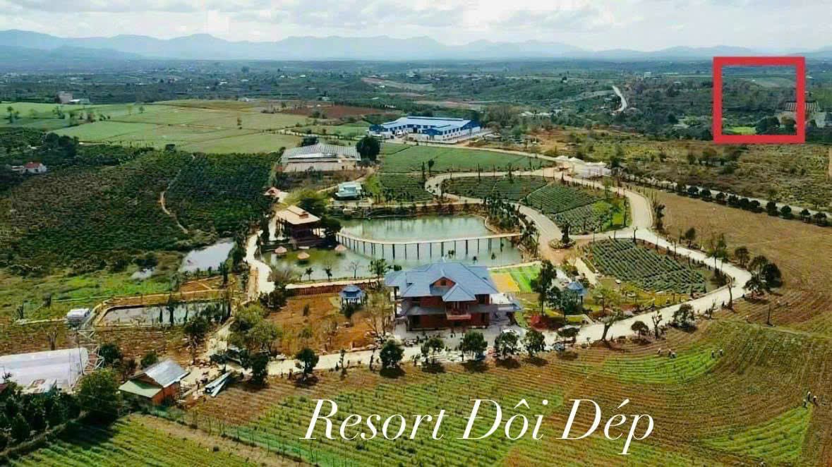 z6163942331017-8c7763900f5727db5b22b68c65a1fb9f