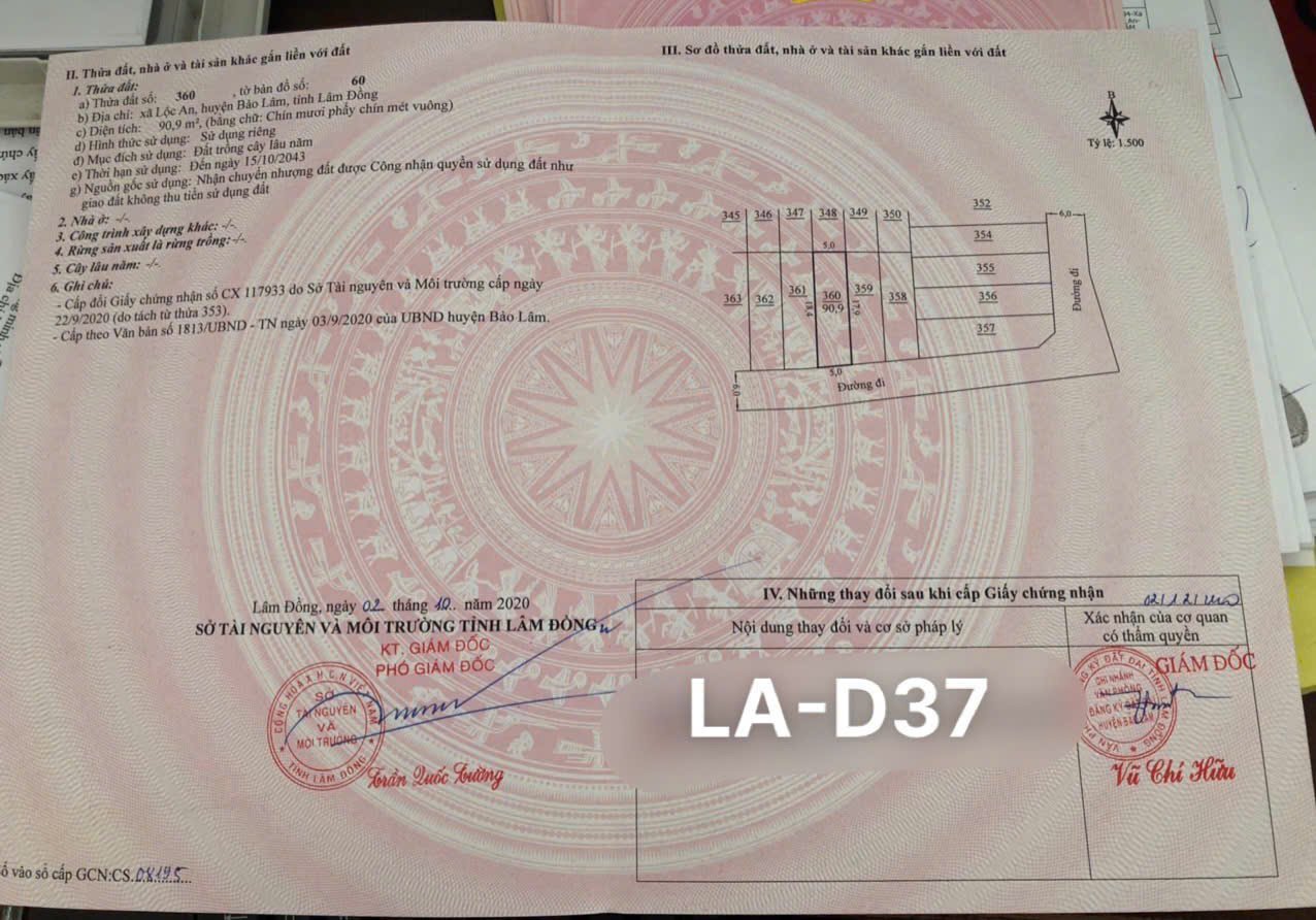 z6163942374624-82585269be0ebaf28472eb3ff204c3ff