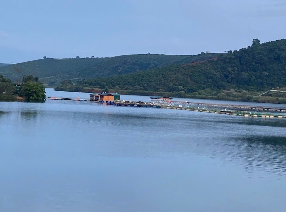 z6164244917607-257fc2e17eeaaf2a35cf1c0d5c092d46