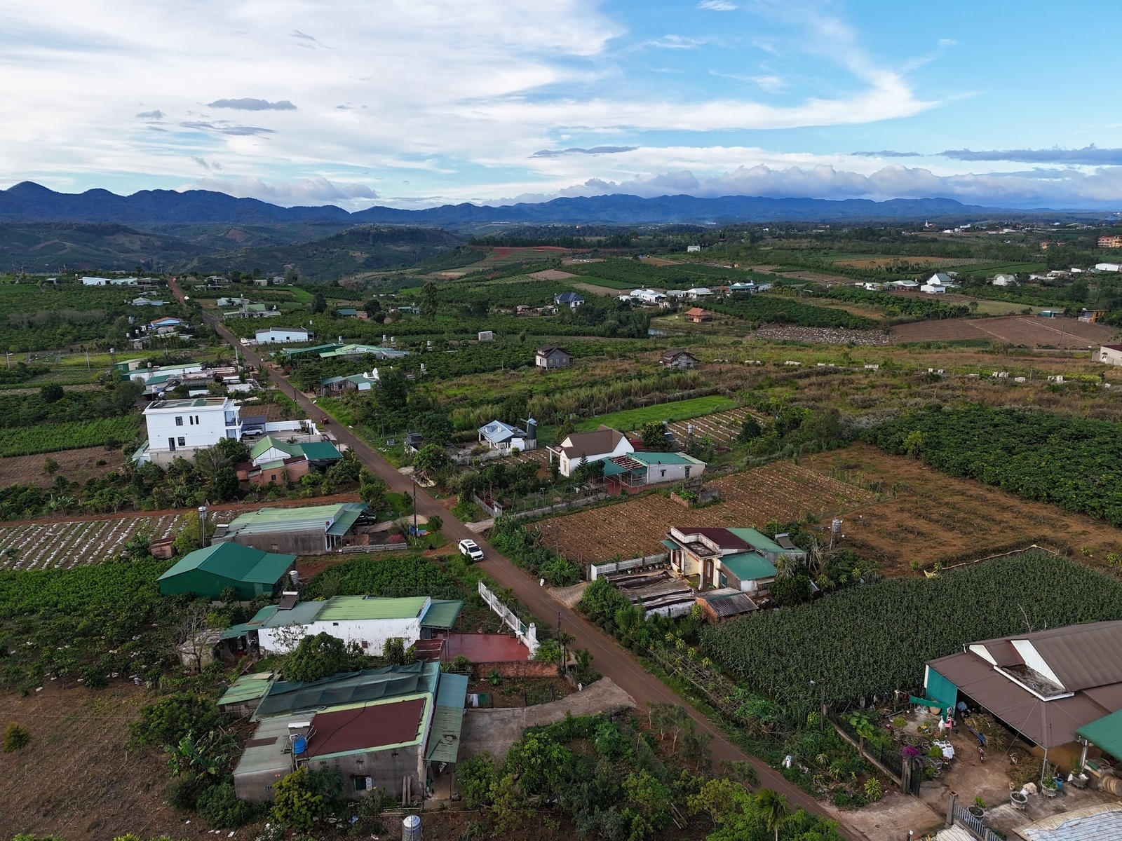 dji-20241228165136-0270-d