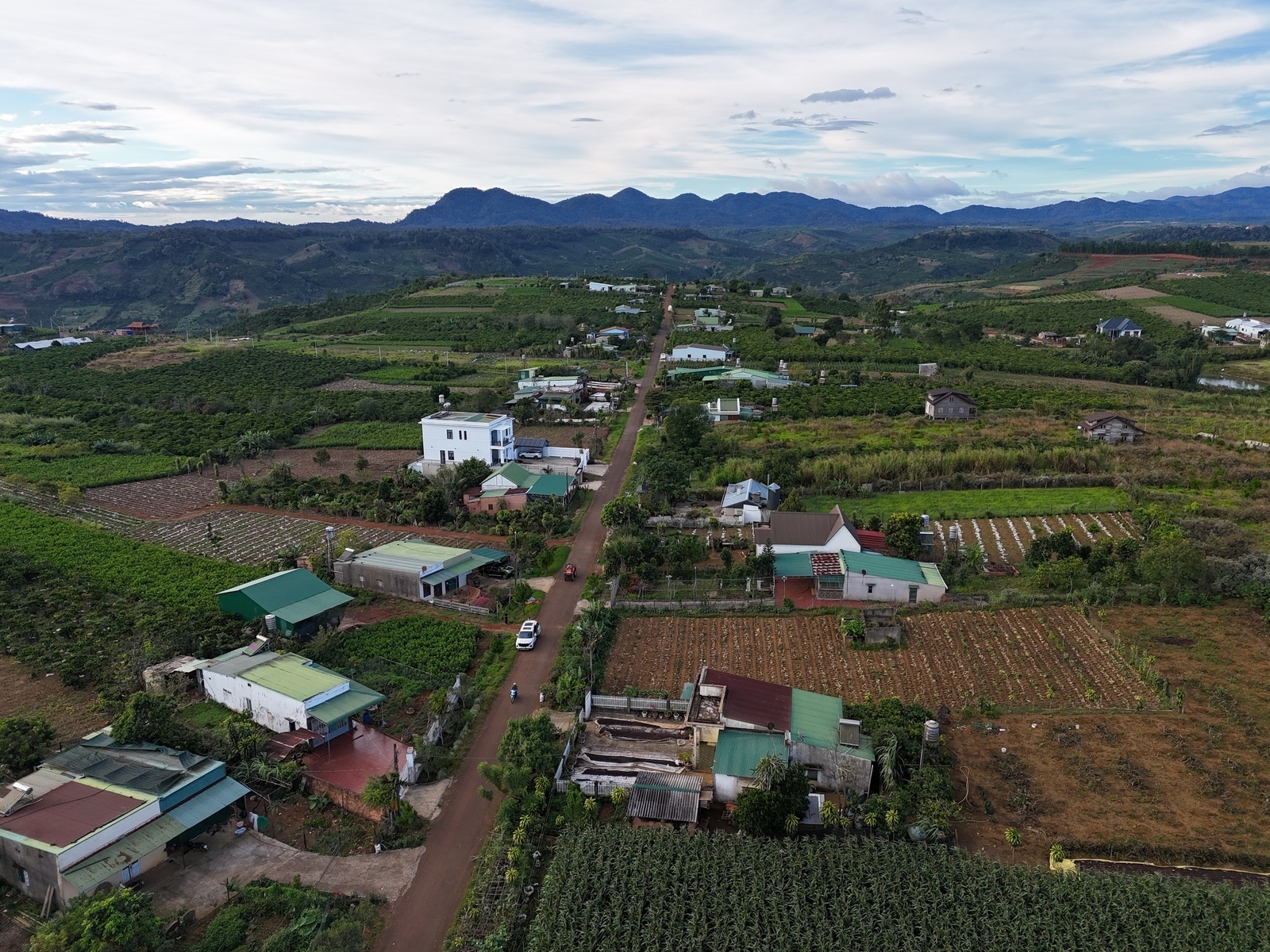 dji-20241228165156-0271-d