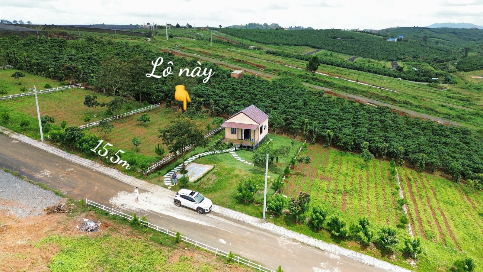 z6974959452532-794647f1f711d34f492661f883599b16