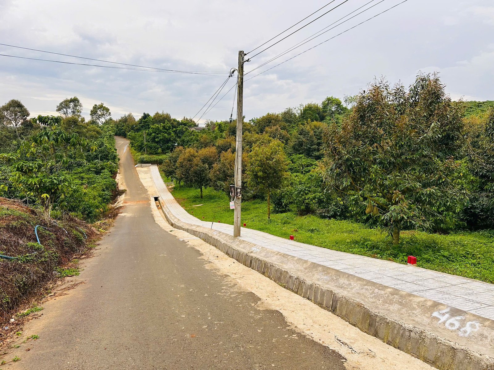 z6974963927428-a8832705c85a6e94a7ece43b445698e2