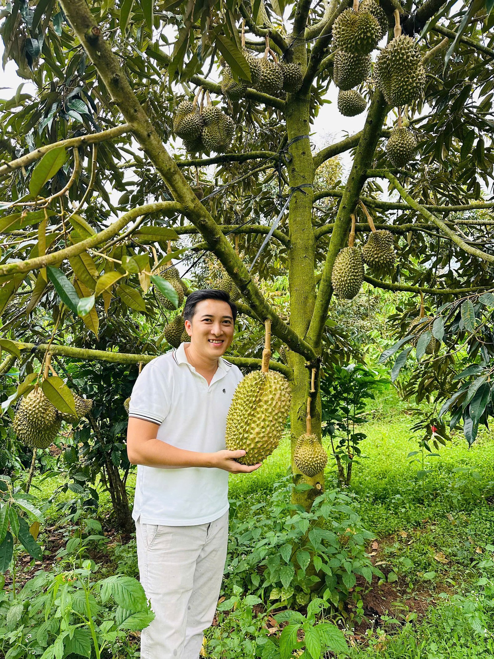 z6974963929641-1ad6927bf56c1d6f192ed3da3f4b1414