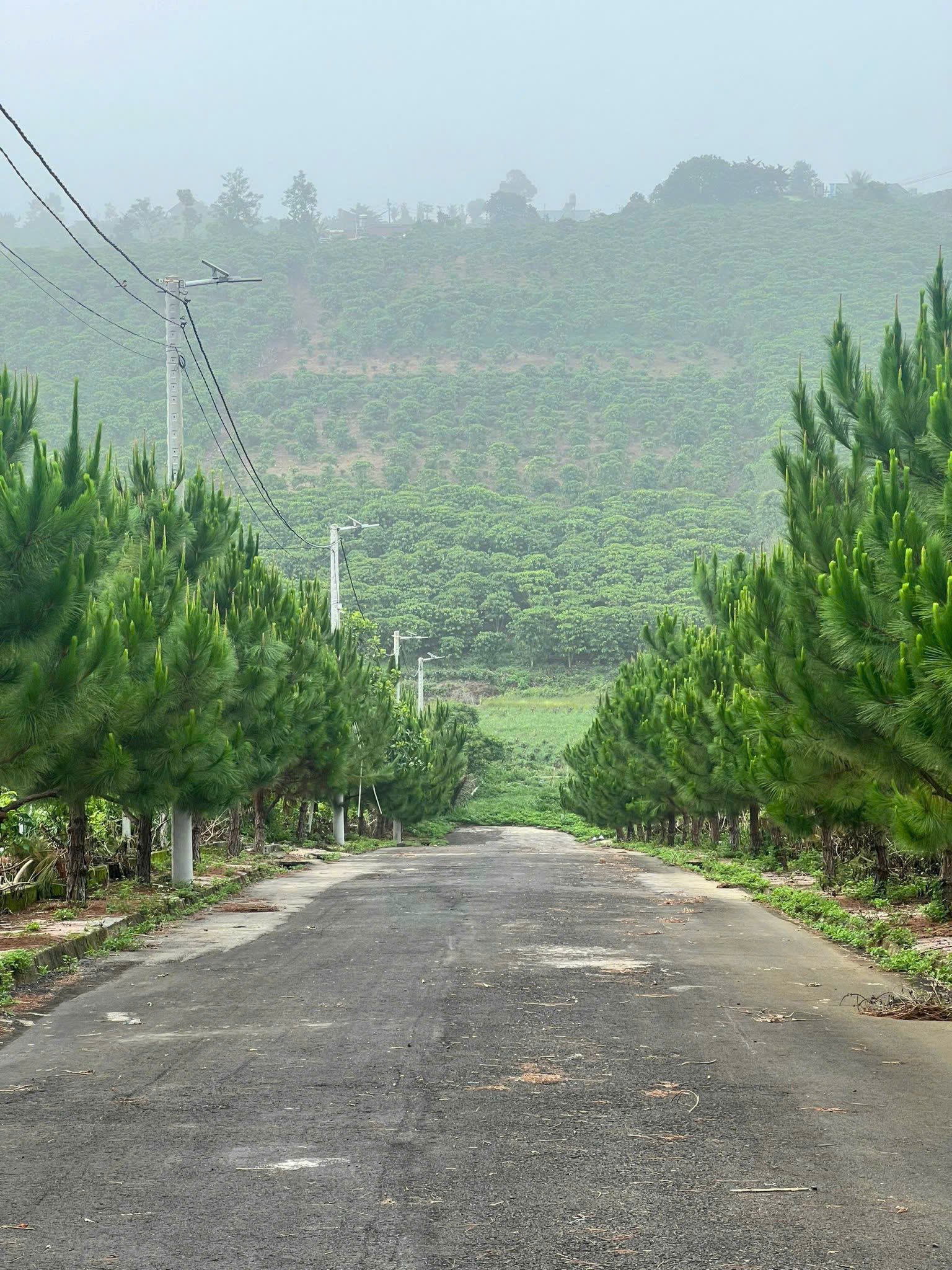 z6997451333642-86ac17b5b4754cee59c28c7ae1fb6d4e