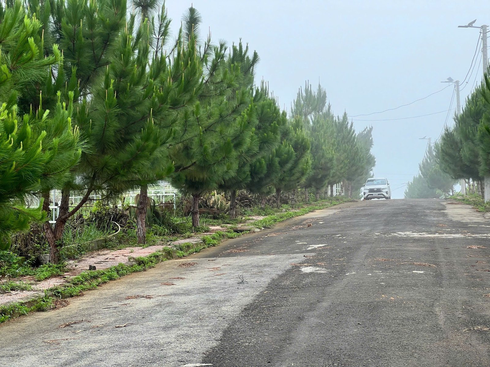 z6997451343016-4a241e318911de8ecb72a8f92c4c948f