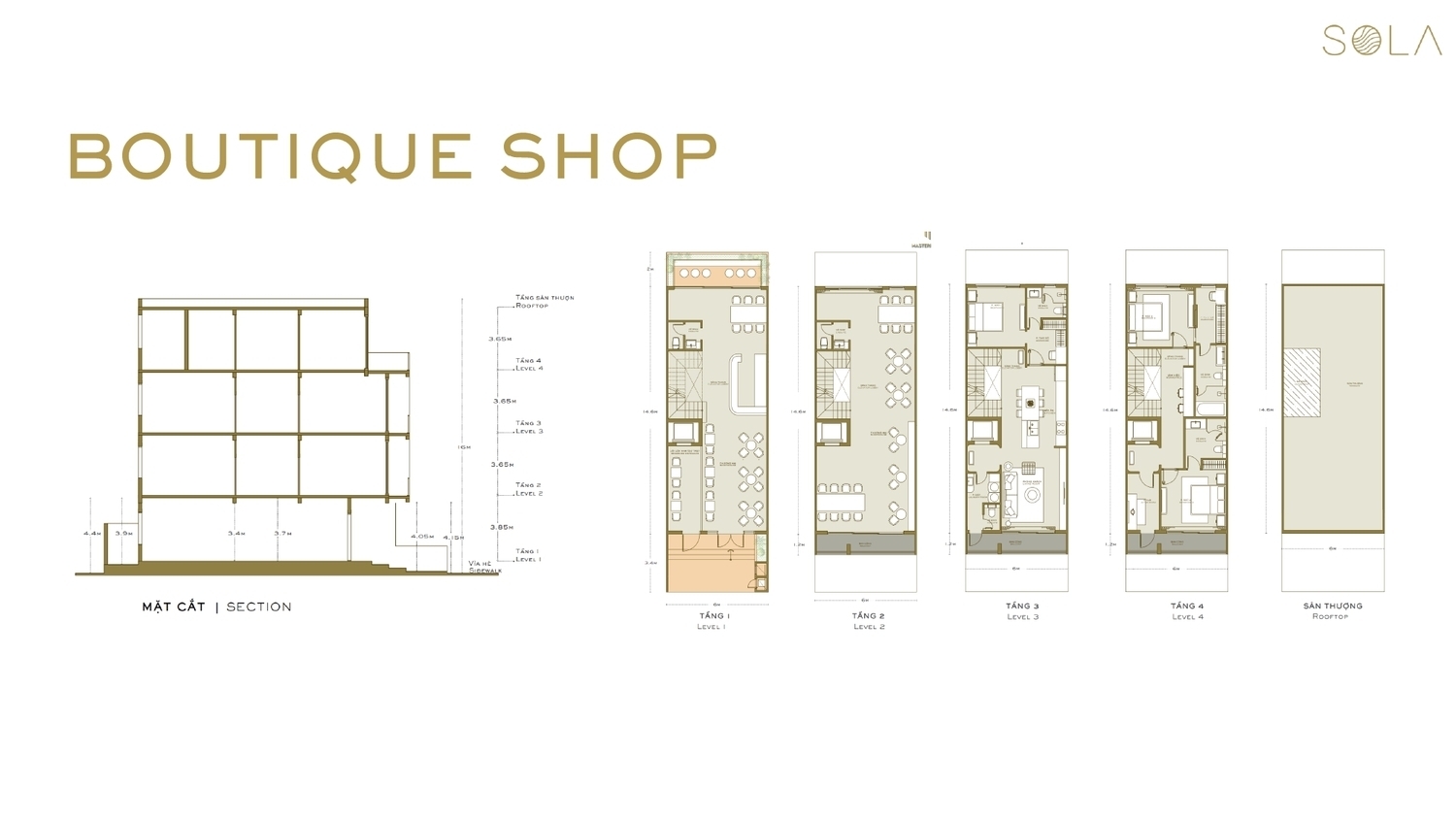 layout-shop