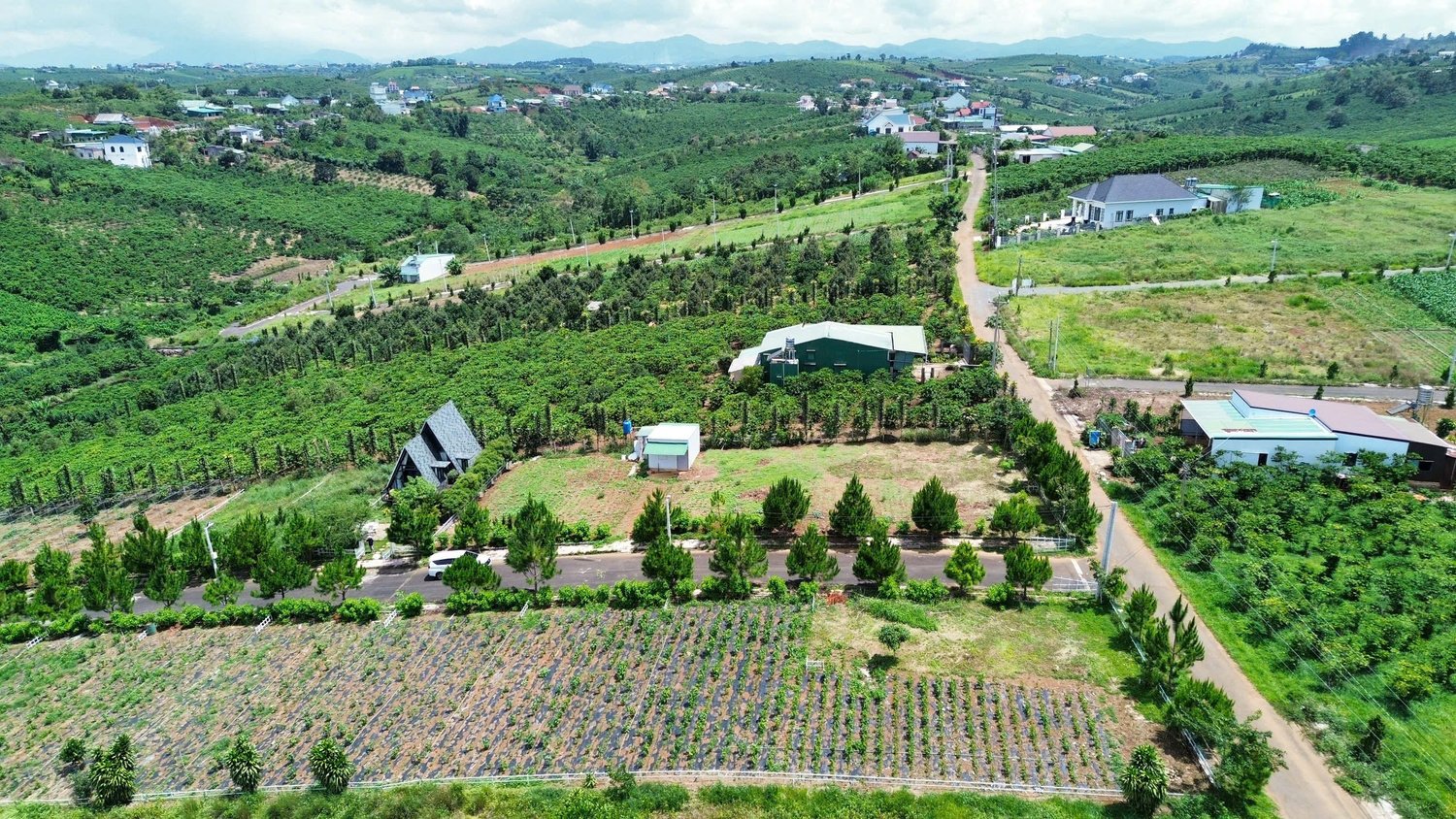 z5795462314167-0c311c5cc7e6e223c1c21be77553837a