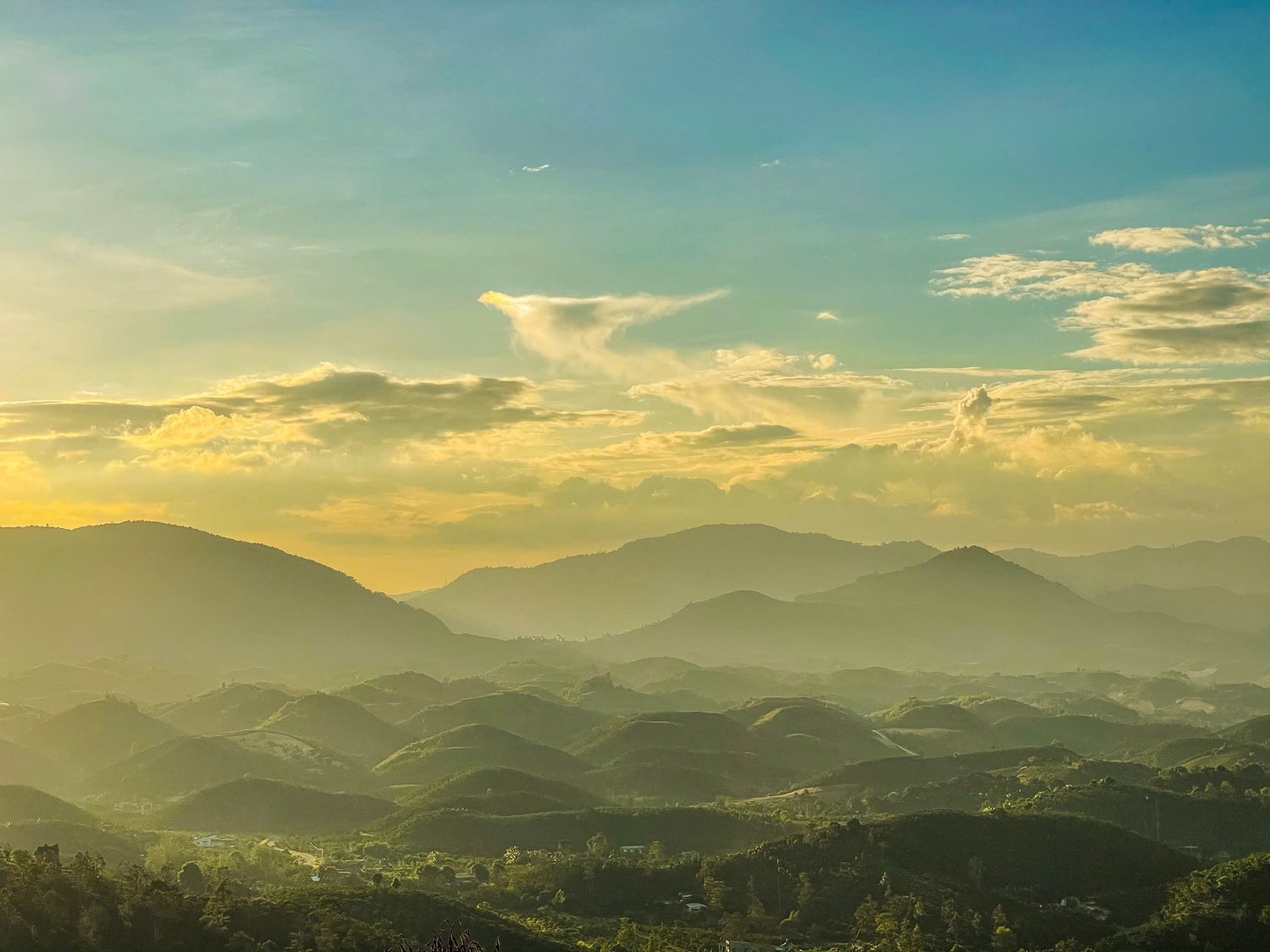 z7239997165775-ca0efc708b3e43f692073a83e243dddc