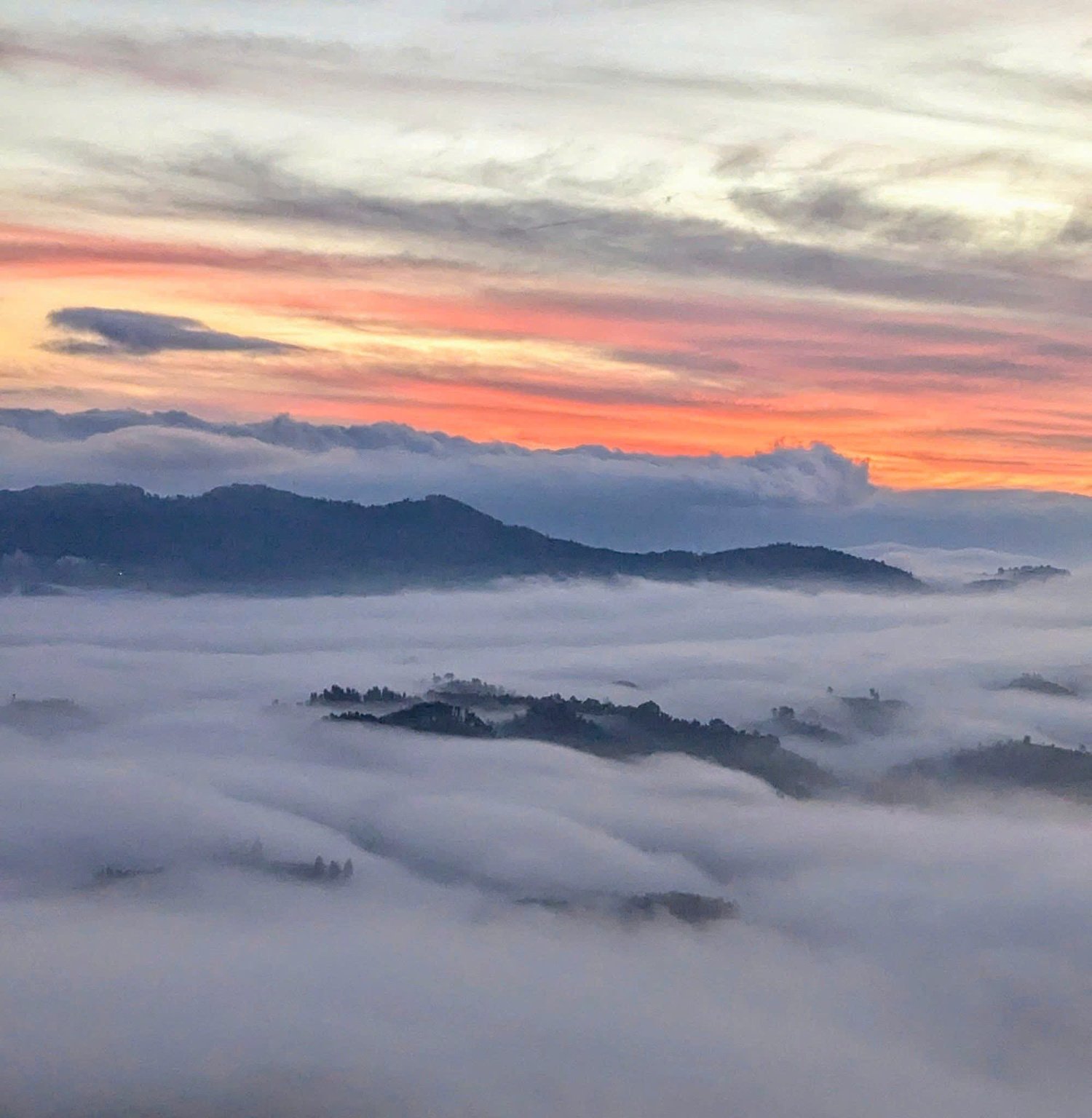 z7239997188306-b8534ec14074bd3b4577f73782a9ec7c