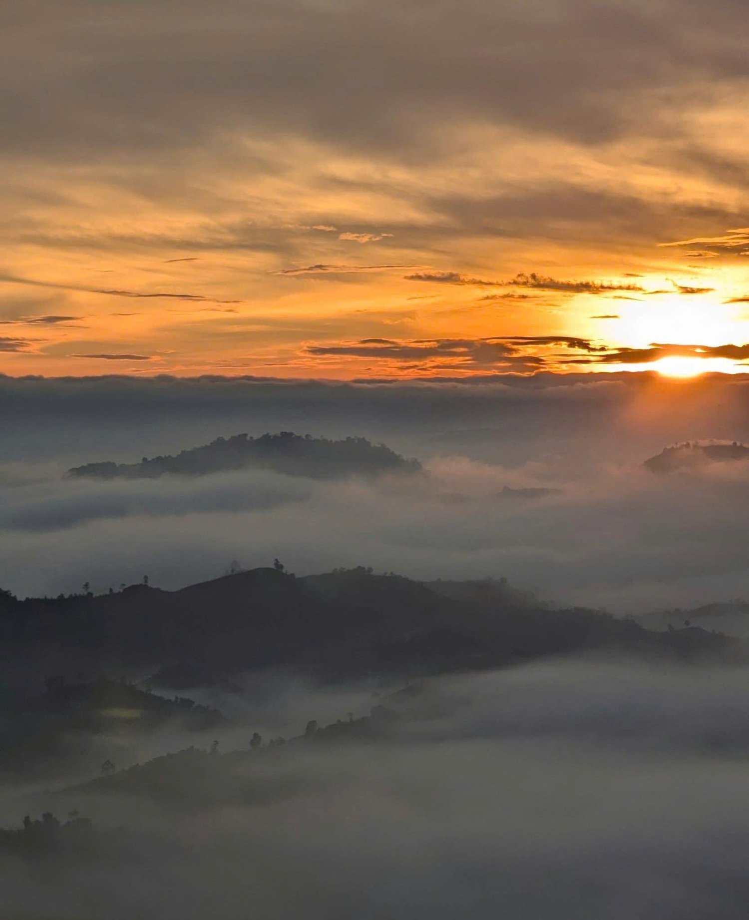 z7239997200400-165078752d1a8d4deb44034ad4cbe106