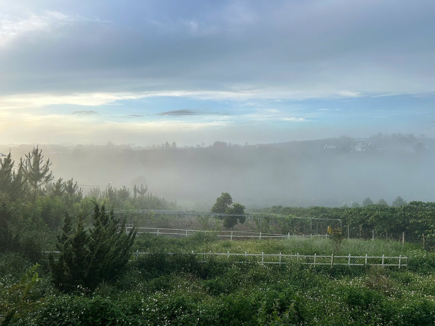 z7290918328593-6d27fa18e85306baca3d0a7bfec92c13