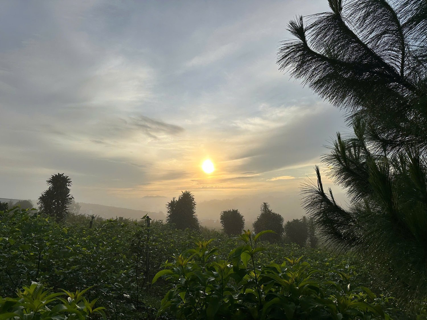 z7290918332589-b8b4bbc9b1e65e533b598c97a812fc08